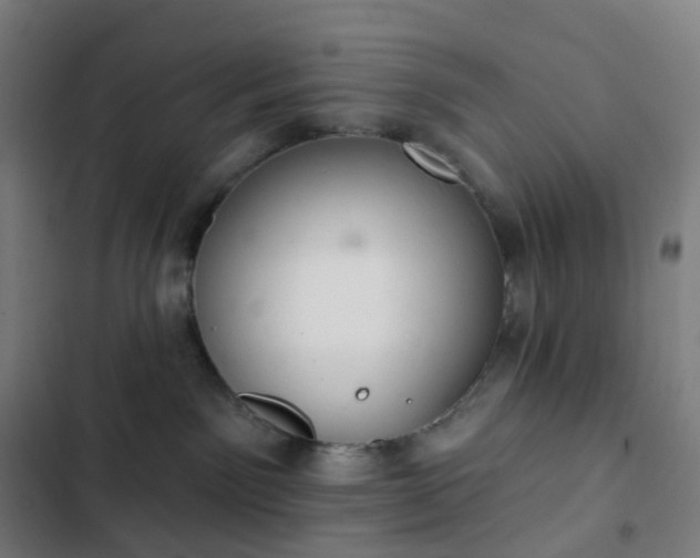 X0000103280141200809051539