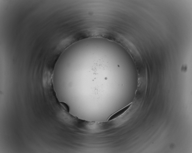 X0000103280142200809051539