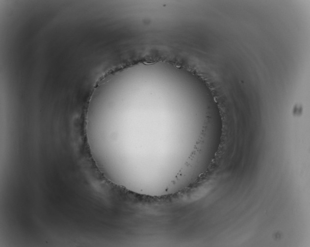 X0000103280144200809051539