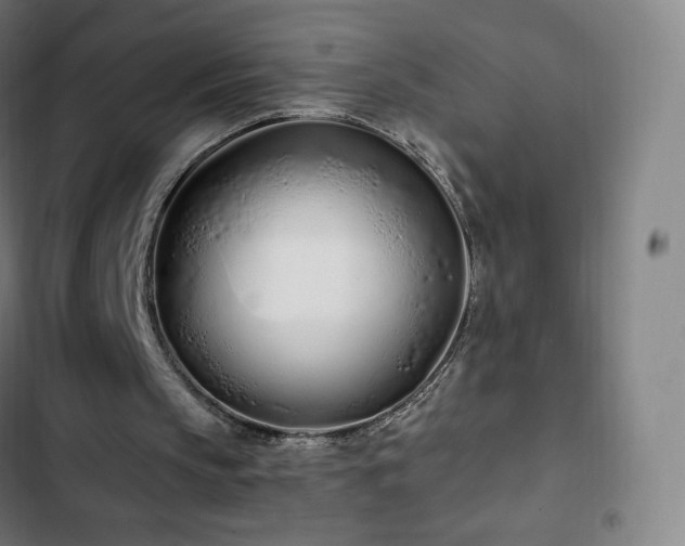 X0000103280145200809051538