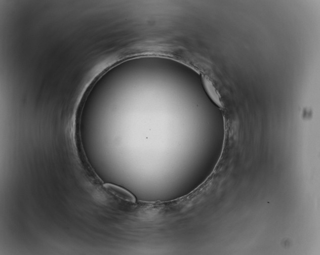 X0000103280148200809051538