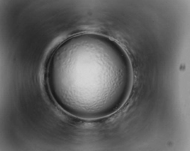 X0000103280149200809051538