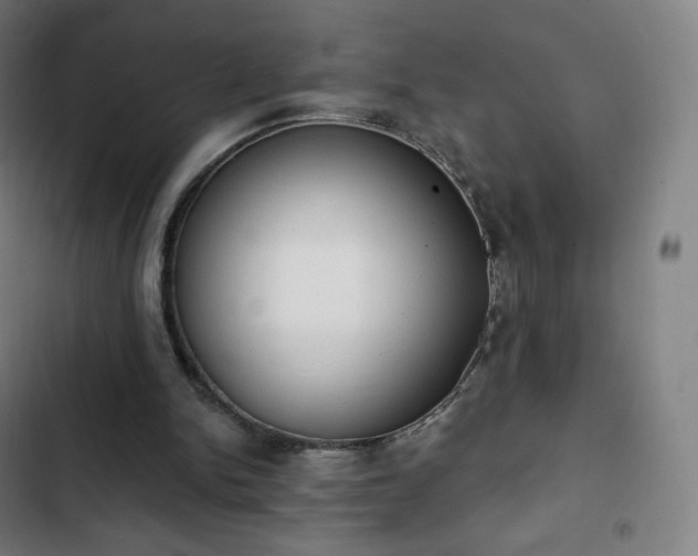 X0000103280150200809051538