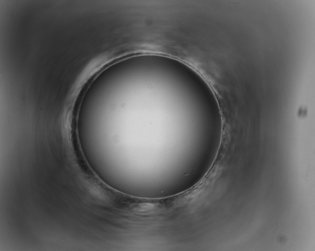 X0000103280151200809051538