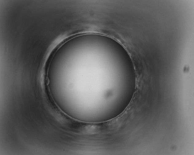 X0000103280152200809051538