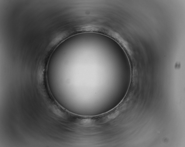 X0000103280153200809051538