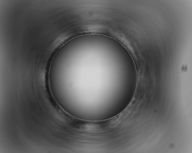 X0000103280154200809051538