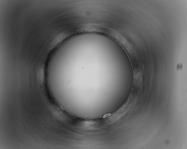 X0000103280158200809051538