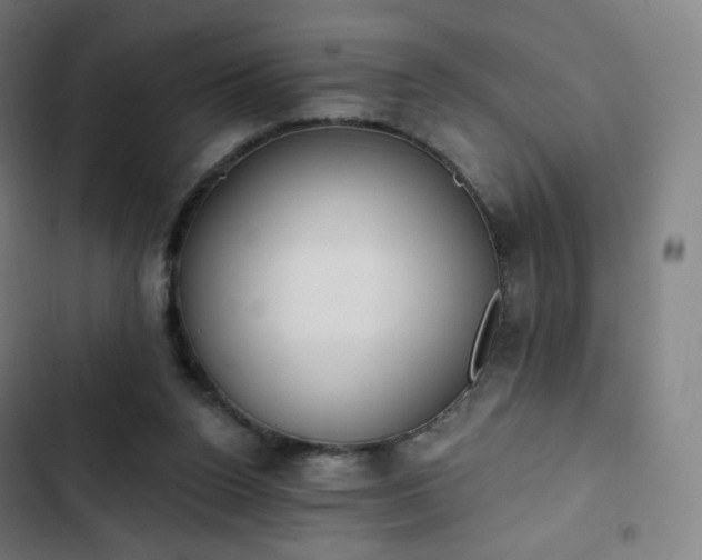 X0000103280160200809051538