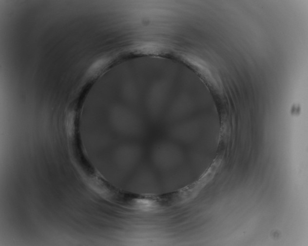 X0000103280167200809051539