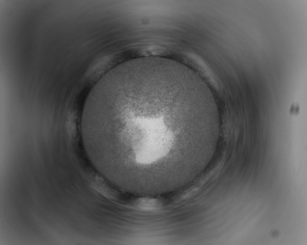 X0000103280169200809051539