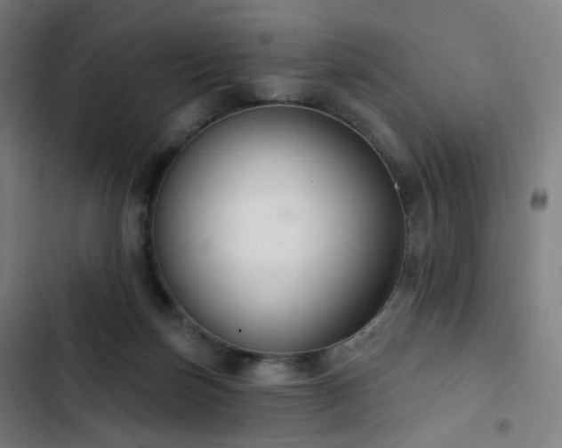 X0000103280171200809051539