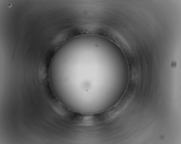 X0000103280173200809051539