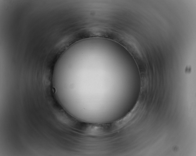 X0000103280174200809051539