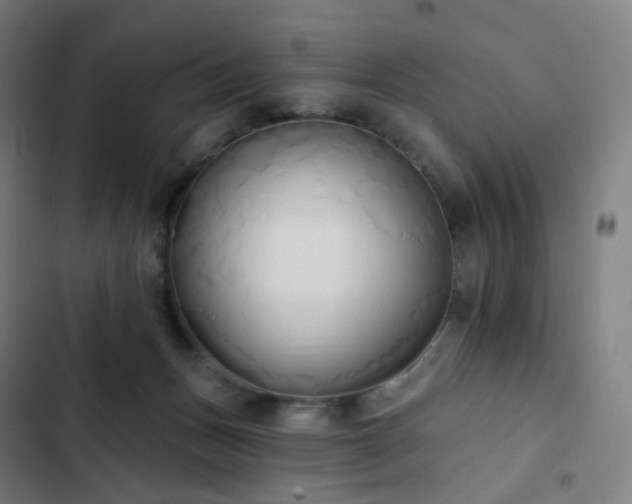 X0000103280175200809051539