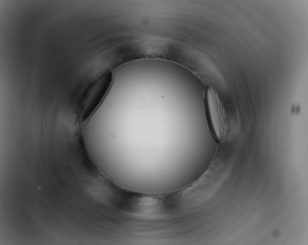 X0000103280176200809051539