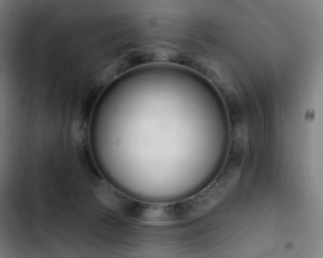 X0000103280177200809051539