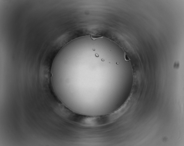 X0000103280178200809051539