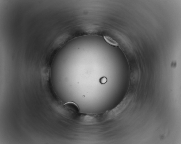 X0000103280180200809051539