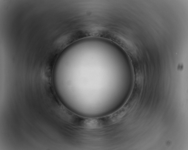 X0000103280181200809051539