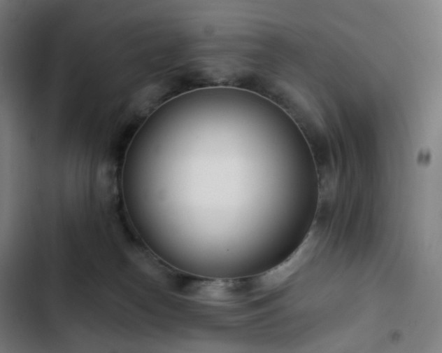 X0000103280182200809051539