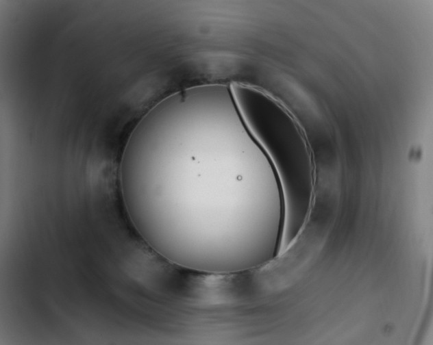 X0000103280184200809051539