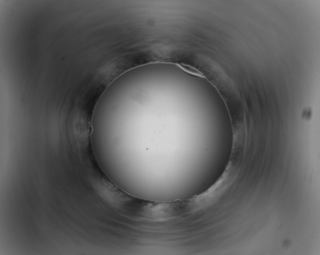 X0000103280186200809051539