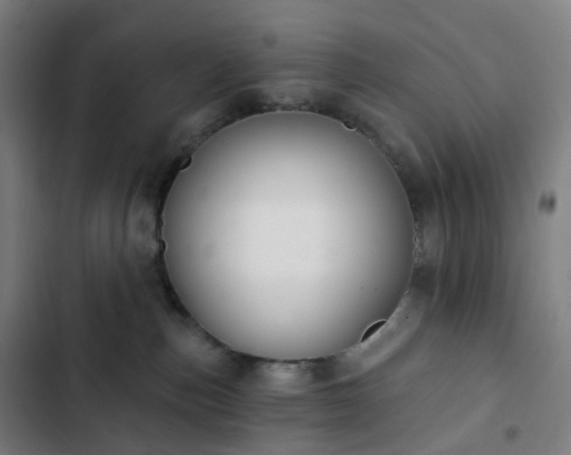 X0000103280187200809051539