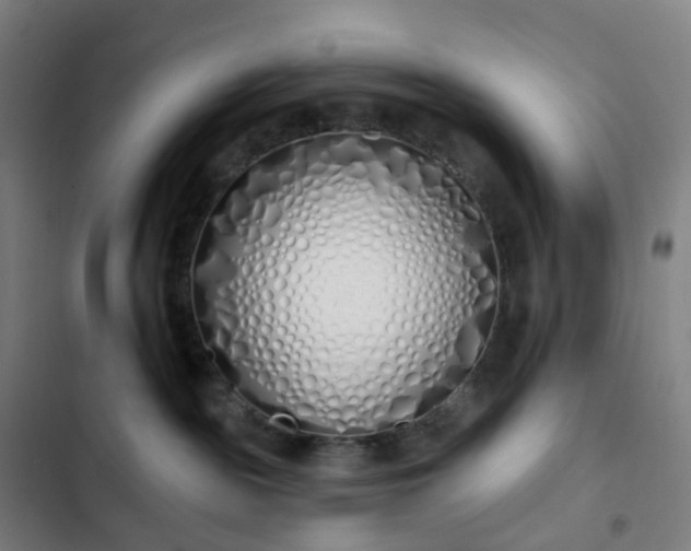 X0000103280189200809051539