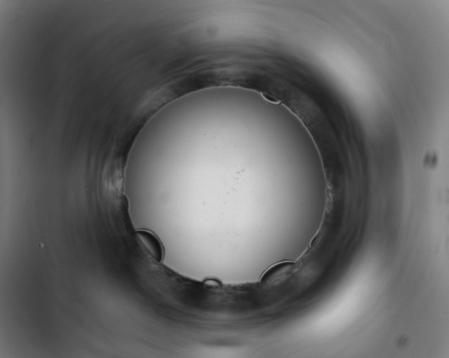 X0000103280190200809051539