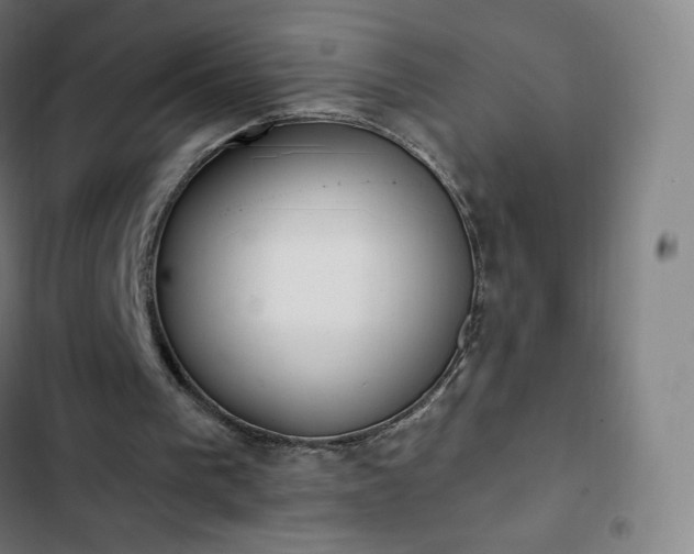 X0000103280193200809051538