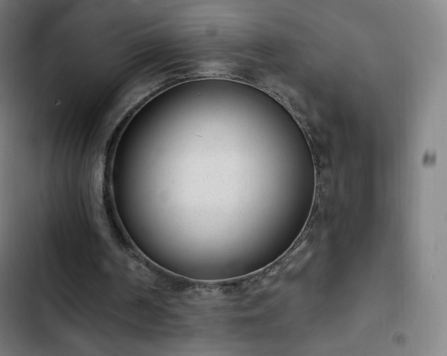 X0000103280194200809051538