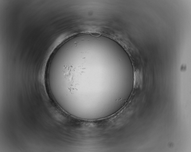 X0000103280195200809051538