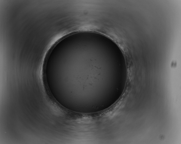 X0000103280196200809051538