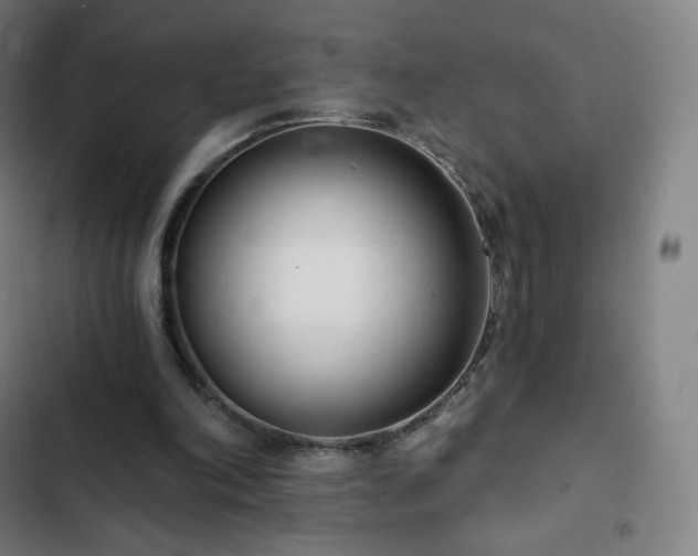 X0000103280198200809051538