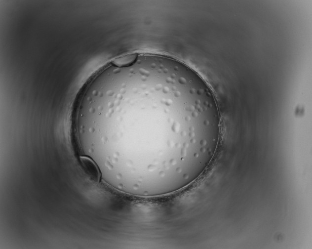 X0000103280199200809051538