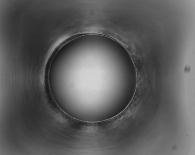 X0000103280200200809051538