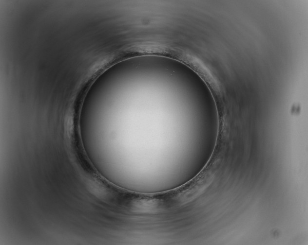 X0000103280202200809051538