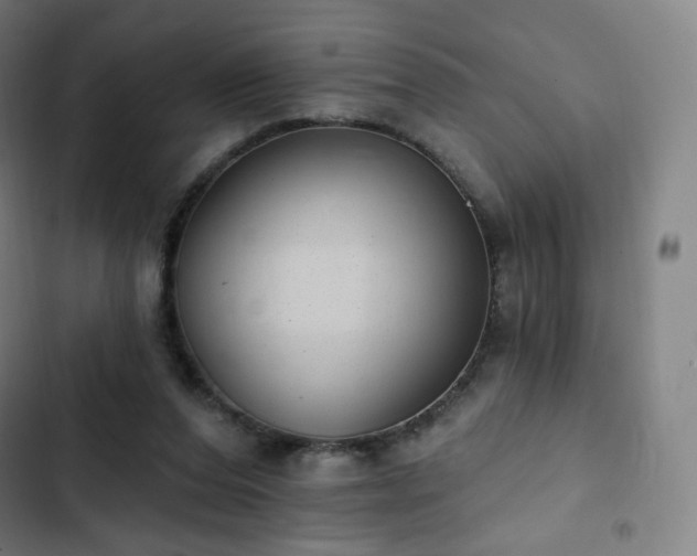 X0000103280208200809051538