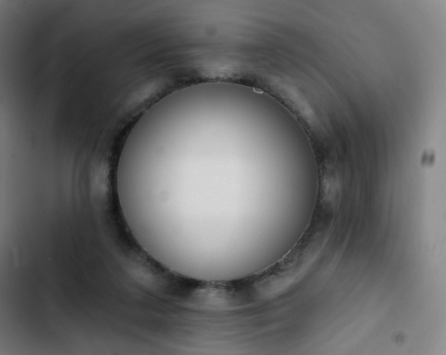 X0000103280211200809051538