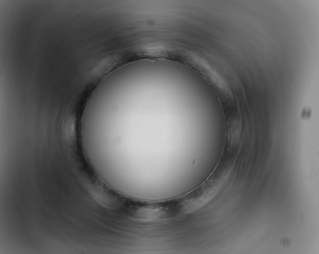 X0000103280213200809051538