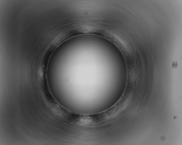 X0000103280214200809051538