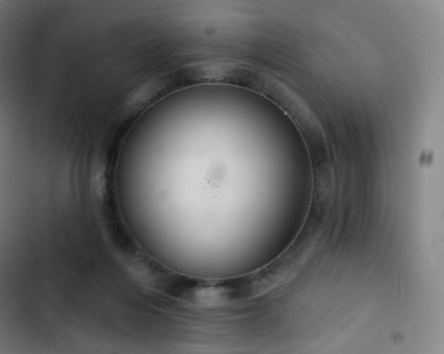 X0000103280216200809051538