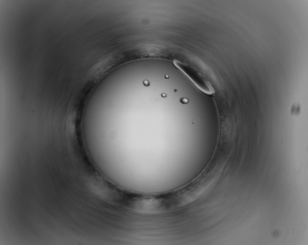 X0000103280217200809051538