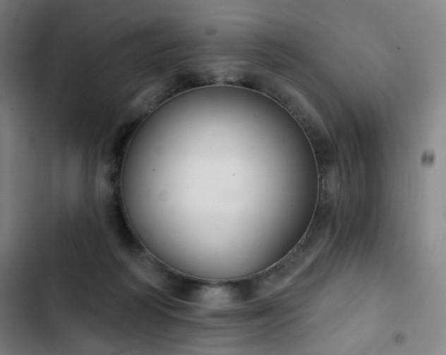 X0000103280218200809051538