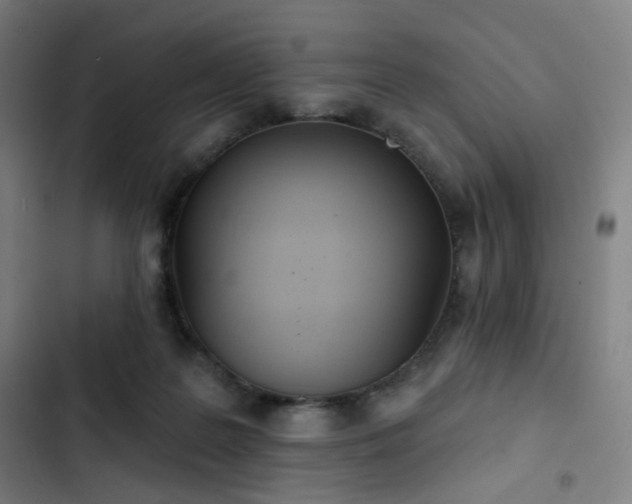 X0000103280219200809051538