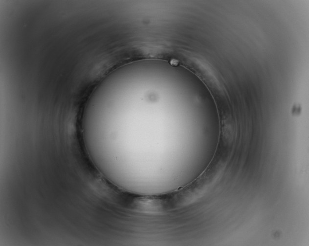 X0000103280221200809051538