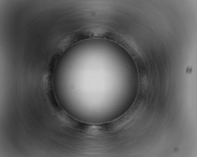 X0000103280222200809051538