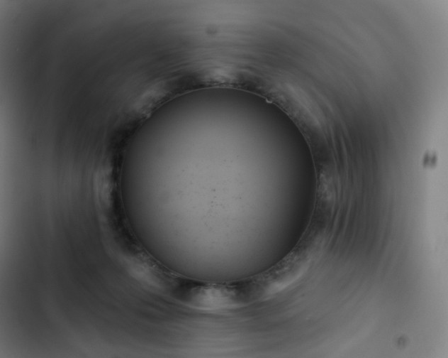 X0000103280223200809051538