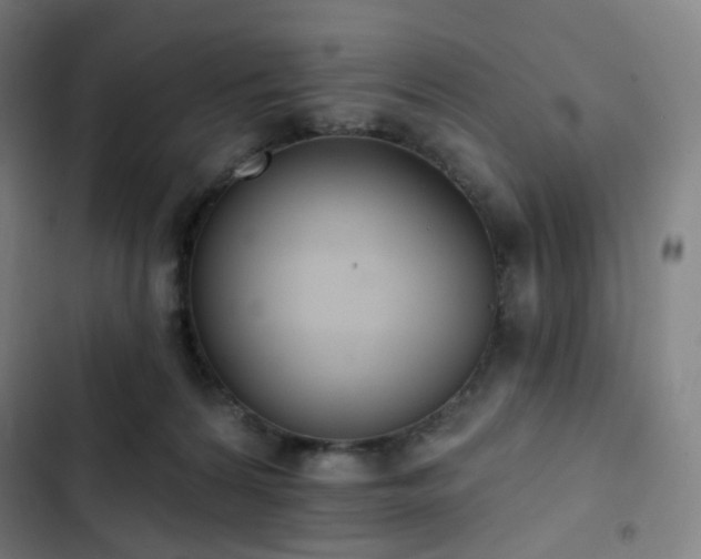 X0000103280224200809051538